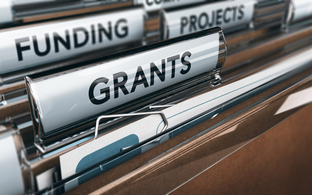 What Are Security Grants? And How Can Secom Help?