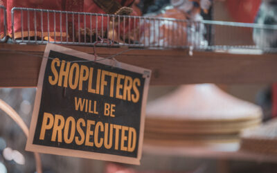 Prepare for Seasonal Crime Patterns with Agentic AI
